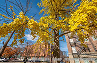 王牌專業|南洋理工大學市場營銷碩士