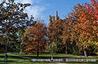 新加坡國立大學(xué)物理碩士入學(xué)條件有哪些？