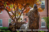 韋仕敦大學本科有營養專業嗎？