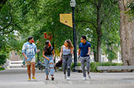 熱門(mén)碩士|JHU BME