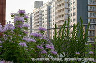 2024QS英國傳媒專業大學排名TOP50