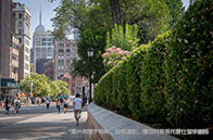 美國(guó)常春藤plus學(xué)校怎么樣？