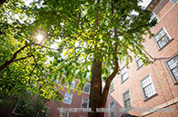 英國留學每月交通費多少錢？