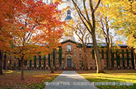 英國大學可以同時申請兩個專業嗎？