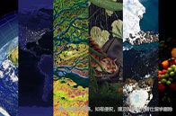 加州大學戴維斯分校商科接受本科申請嗎？