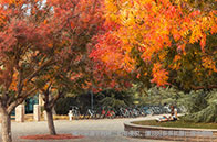 牛津大學入學考試承辦單位公布：Pearson VUE