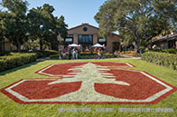 南洋理工大學(xué)學(xué)費支付方式有哪些？