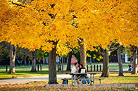 劍橋大學(xué)金融碩士費(fèi)用多少錢？