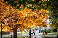 韋仕敦大學英語教學碩士入學條件有哪些？