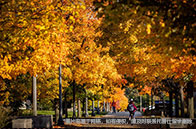 2023新加坡國立大學軟科排名如何？