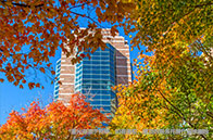 加拿大針對(duì)香港救生艇計(jì)劃正式生效：涉學(xué)簽持有者