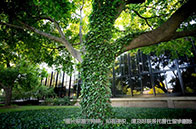 雅思幾分可以申請國外大學？建議6+