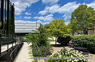 西蒙菲莎大學(xué)申請條件匯總