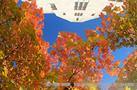 英國開設網絡安全專業的大學有哪些？