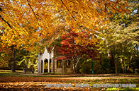 如何規劃申請美國LLM碩士？