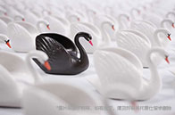 南洋理工大學化學工程排名多少？