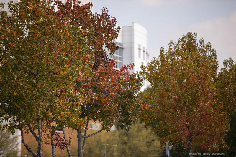 美國佐治理亞理工大學(xué)金融專業(yè).jpg 美國佐治理亞理工大學(xué).jpg