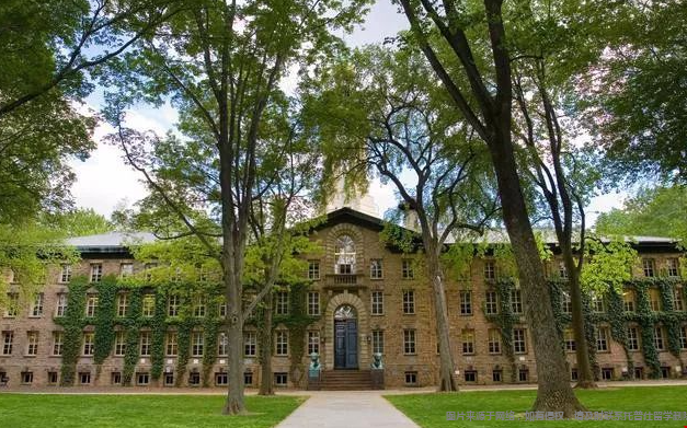 康奈爾大學錄取喜好.png 康奈爾大學錄取喜好.png