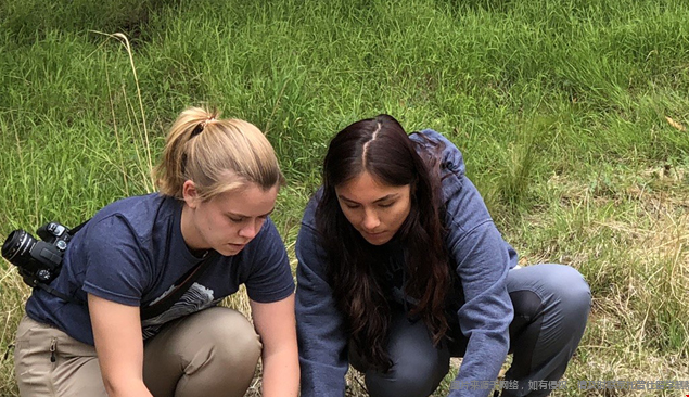 申請美國大學哪些課外活動更有利