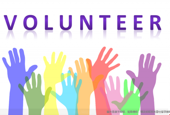 美本申請選擇志愿者工作.png