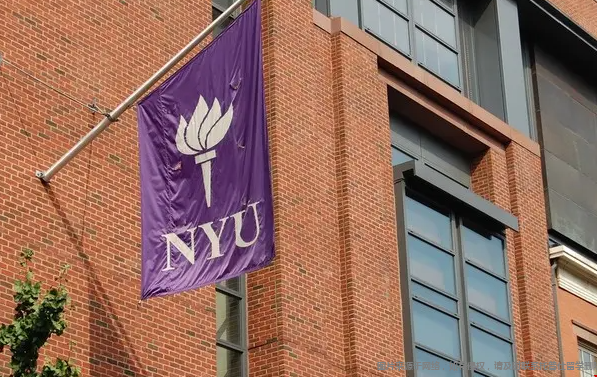 紐約大學