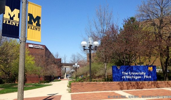 密歇根大學安娜堡分校