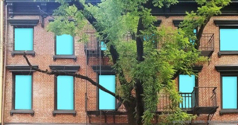 紐約大學QS世界排名 紐約大學