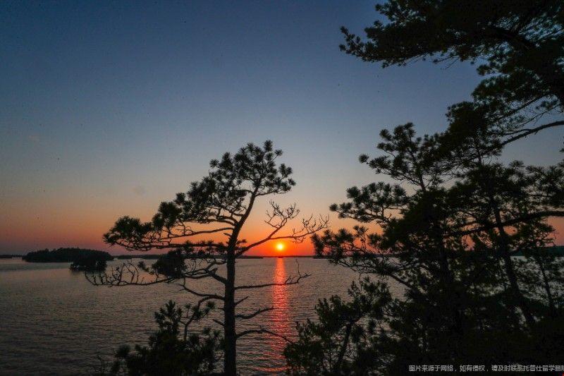 2023-2024年佛羅里達州立大學排名 佛羅里達州立大學排名