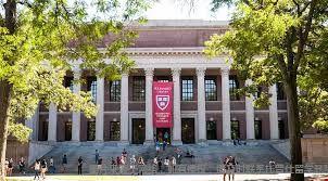 美國人類學專業分支 美國人類學專業分支