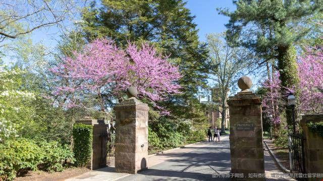 普林斯頓大學金融學碩士課程設置