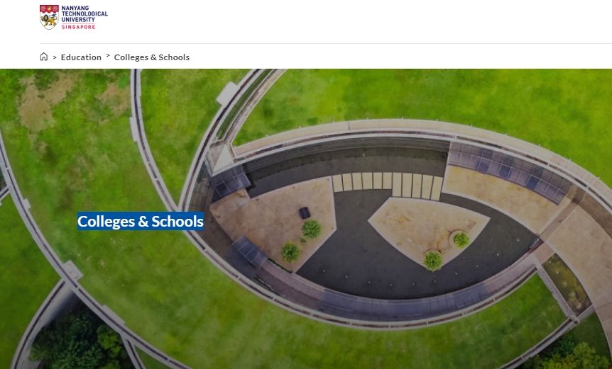 NTU大學(xué)有幾個(gè)學(xué)院.png