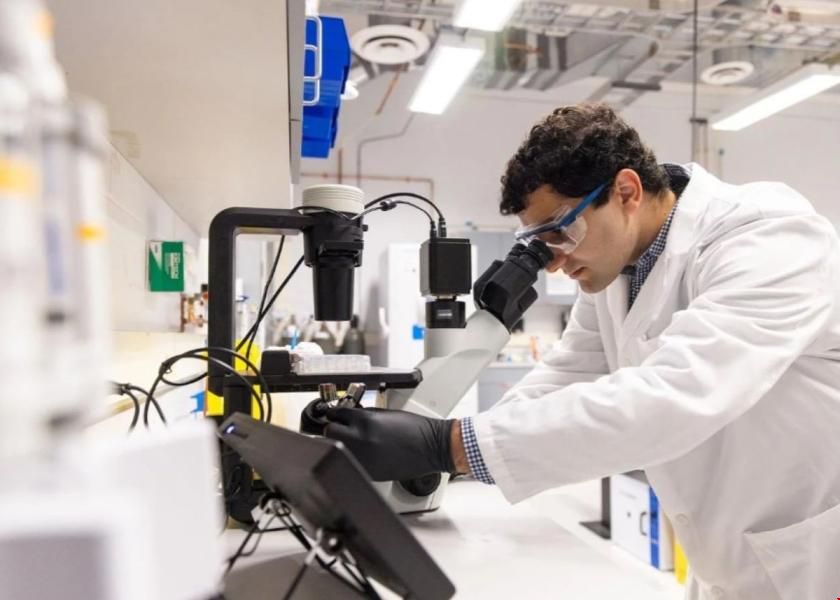 塔夫茨大學推出細胞農業輔修學位.jpg 塔夫茨大學推出細胞農業輔修學位.jpg