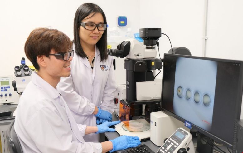 NUS最新研究:利用斑馬魚(yú)胚胎培養(yǎng)人類諾如病毒.png NUS最新研究:利用斑馬魚(yú)胚胎培養(yǎng)人類諾如病毒.png