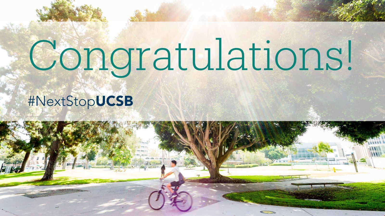 加州大學圣塔芭芭拉分校2028屆錄取變化.jpg 加州大學圣塔芭芭拉分校2028屆錄取變化.jpg