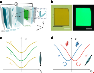 填充有液晶分子的鈣鈦礦微腔.png 填充有液晶分子的鈣鈦礦微腔.png