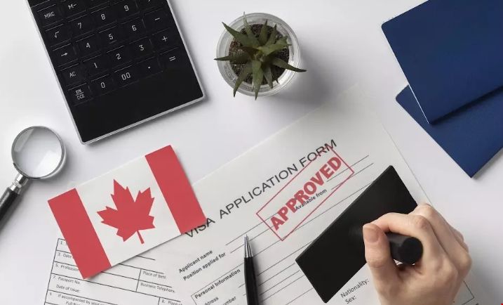 加拿大留學(xué)簽證背景調(diào)查.png 加拿大留學(xué)簽證背景調(diào)查.png