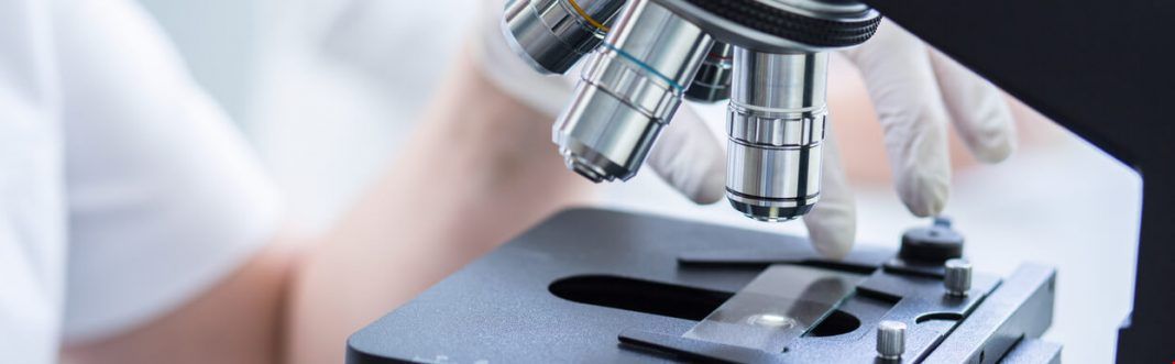 英國留學(xué)生物專業(yè)入學(xué)條件.jpg 英國留學(xué)生物專業(yè)入學(xué)條件.jpg